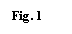 Text Box: Fig. 1 